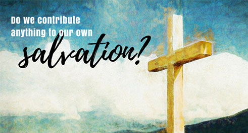 Do we Contribute Anything to Our Own Salvation?